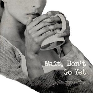 Wait, Don't Go Yet (Single)