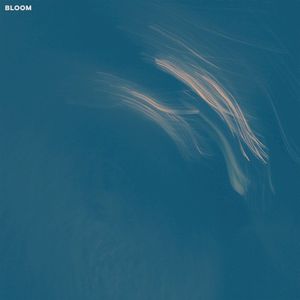 Bloom (Single)