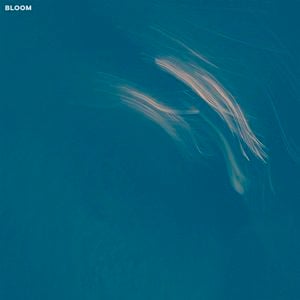 Bloom (Single)