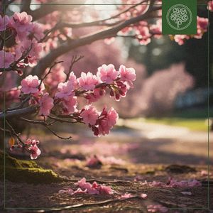 Spring Melody (Single)