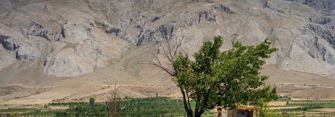 Cover The Things You Kill