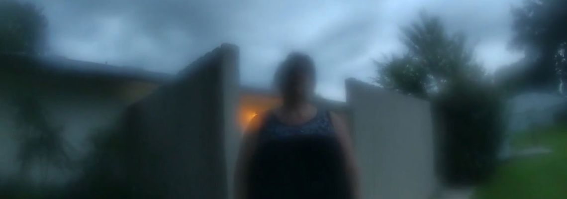 Cover La Voisine idéale