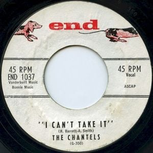 I Can't Take It / Never Let Go (Single)