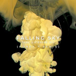 Falling Sky feat. Lifesize MC Honey T Remix (Single)