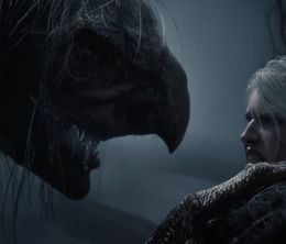 image-https://media.senscritique.com/media/000022514443/0/the_witcher.jpg