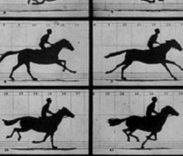 image-https://media.senscritique.com/media/000022514860/0/sallie_gardner_at_a_gallop.jpg