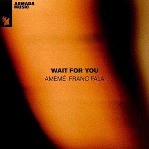 Wait for You (Single)