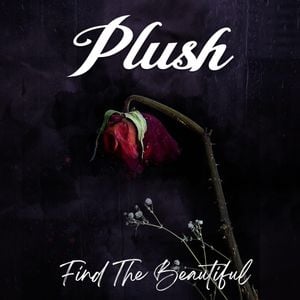 Find the Beautiful (EP)