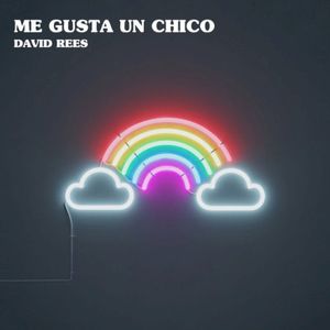 Me gusta un chico (Single)