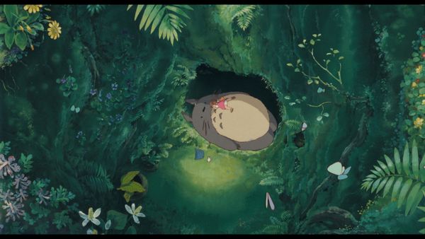 Miyazaki, l'esprit de la nature
