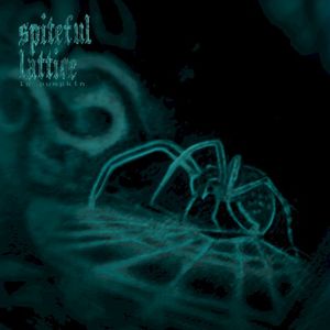 spiteful lattice (Single)