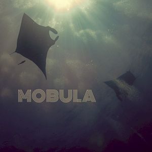 Mobula (Single)