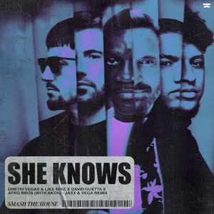 She Knows (with Akon) [Jaxx & Vega remix]