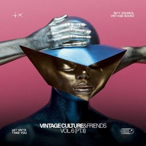 Vintage Culture & Friends, Vol. 6 (Pt. I) (Single)
