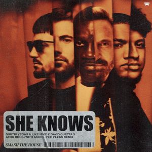 She Knows (with Akon) [Per Pleks remix]