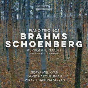 Brahms: Piano Trio No. 1 - Schoenberg: Verklärte Nacht