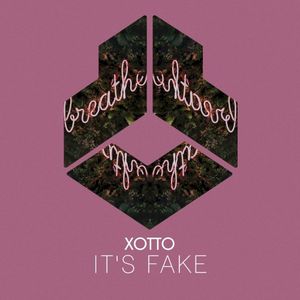 It's Fake (Single)