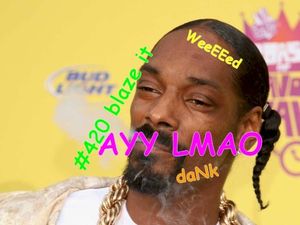 Mr. Snoopman (Single)
