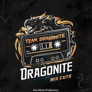 Are You Ready (Dragonite 2024 Mix Cut) (Single)