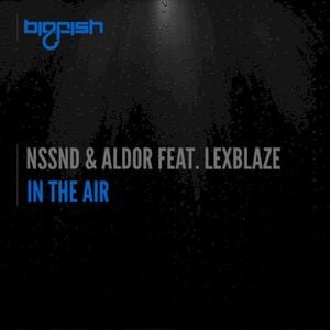 In the Air (Single)