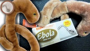 some unpublished songs and shitty drafts that I'll never finish (Single)