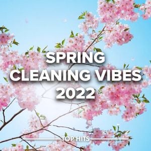 Spring Cleaning Vibes 2022