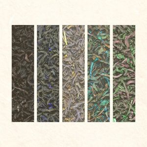 White Tea (Single)