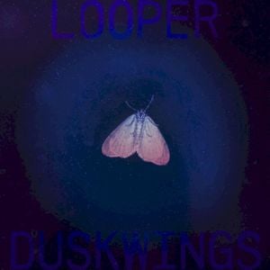 Duskwings (Single)