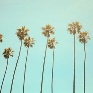 California Dreaming (Single)