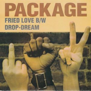 Fried Love / Drop-Dream (Single)