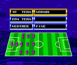 image-https://media.senscritique.com/media/000022531838/0/tecmo_world_cup_super_soccer.jpg