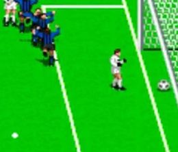 image-https://media.senscritique.com/media/000022534107/0/tecmo_world_cup_90.jpg