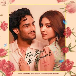 Tere Bina Na Guzara E (Single)