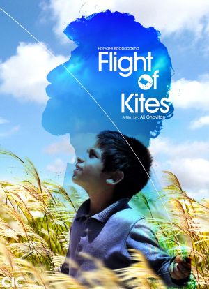 Flight of Kites