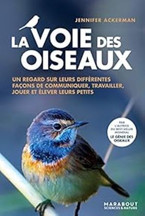 La voie des oiseaux