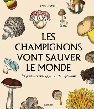 Les Champignons vont sauver le monde