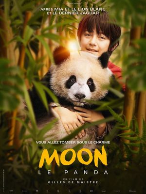 Moon le panda