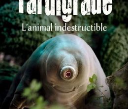 image-https://media.senscritique.com/media/000022546914/0/tardigrade_l_animal_indestructible.jpg