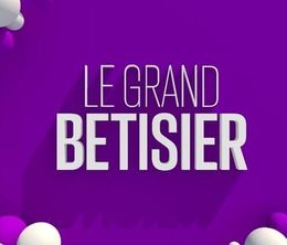 image-https://media.senscritique.com/media/000022547642/0/le_grand_betisier.jpg