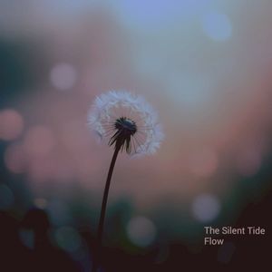 Flow (Single)
