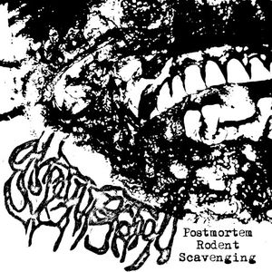 Postmortem Rodent Scavenging (Single)
