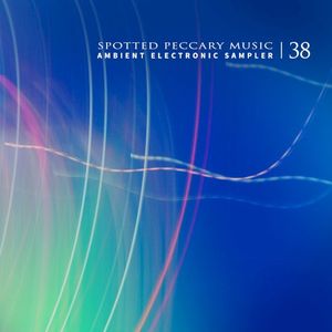 38 — Ambient Electronic Sampler