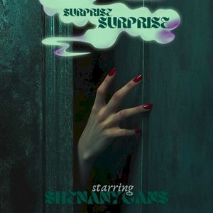 Surprise Surprise (Single)