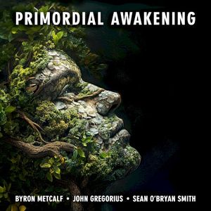 Primordial Awakening