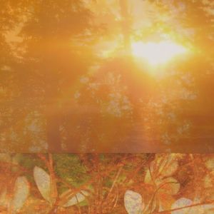 Sunrays
