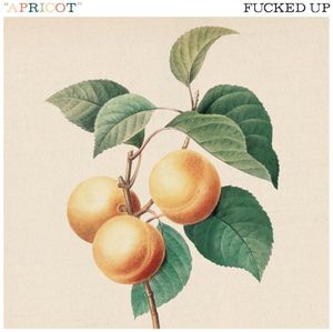 Apricot (Single)