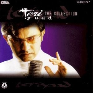 Teri Yaad: The Collection