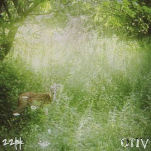 will i ever be enough? (Single)