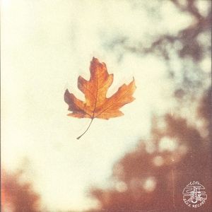 Deciduous (Single)