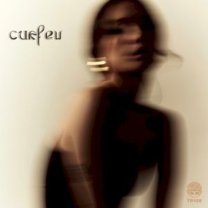 curfew (Single)